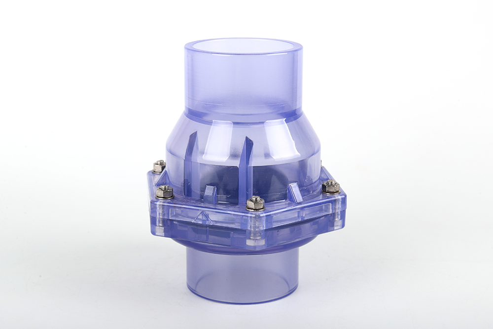 天祝透明翻板式止回阀